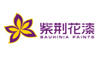 紫荊花制漆